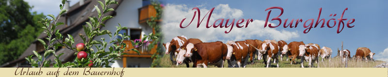 Headerhomekuehe05