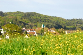 Lyrikweg Owingen, Jubiläumsweg Bodenseekreis, Jakobsweg